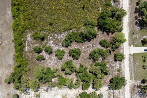 Land in LaBelle, Florida № 1719551 - photo 14