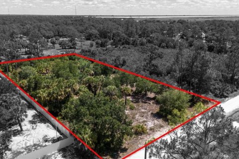 Land in LaBelle, Florida № 1719551 - photo 1