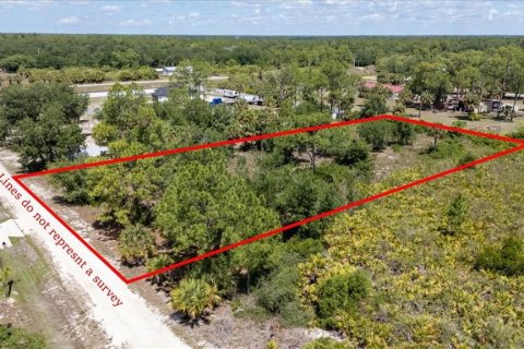 Land in LaBelle, Florida № 1719551 - photo 19