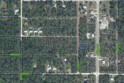 Terrain à Sebring, Floride № 2212164