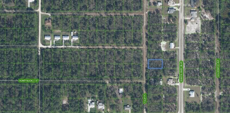 Terrain à Sebring, Floride № 2212164