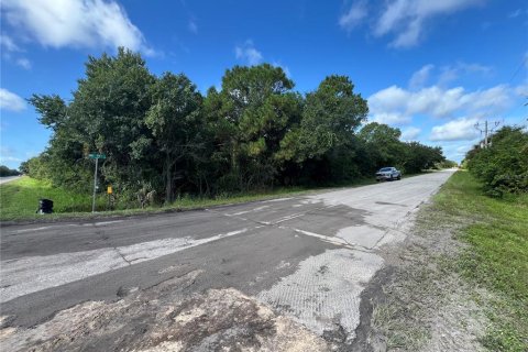 Land in Okeechobee, Florida № 1894196 - photo 1