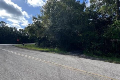 Land in Okeechobee, Florida № 1894196 - photo 4