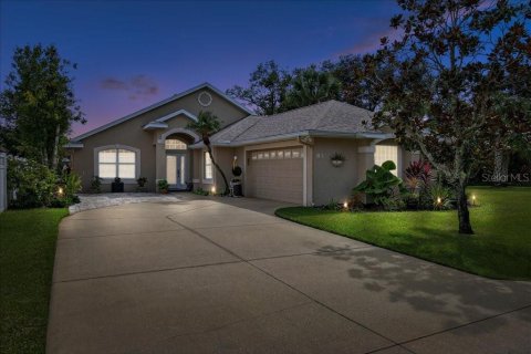 Villa ou maison à vendre à Palm Coast, Floride: 3 chambres, 164.99 m2 № 2113923 - photo 3