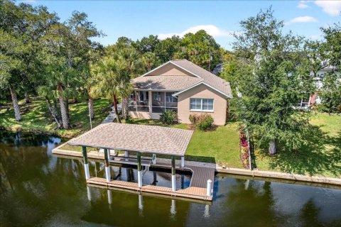 Villa ou maison à Palm Coast, Floride 3 chambres, 164.99 m2 № 2113923