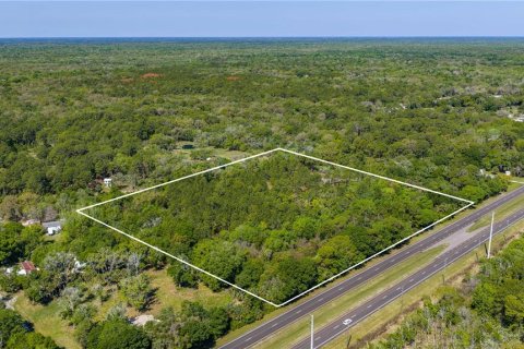 Land in Oak Hill, Florida № 2394160 - photo 6
