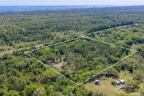 Land in Oak Hill, Florida № 2394160 - photo 8