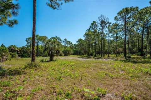 Land in Oak Hill, Florida № 2394160 - photo 16