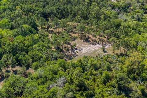 Land in Oak Hill, Florida № 2394160 - photo 13