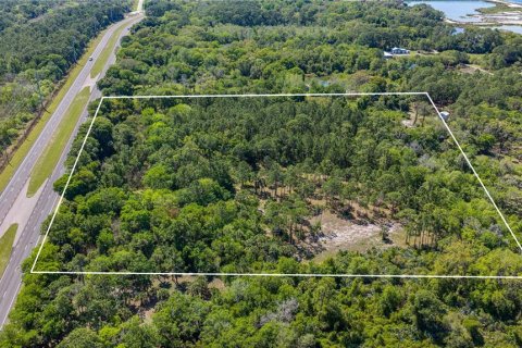 Land in Oak Hill, Florida № 2394160 - photo 4