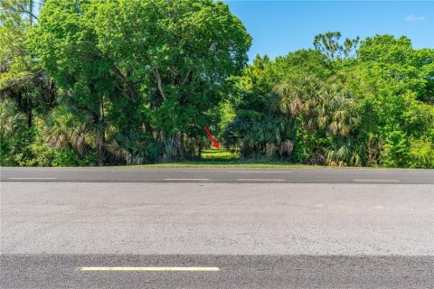 Land in Oak Hill, Florida № 2394160 - photo 11