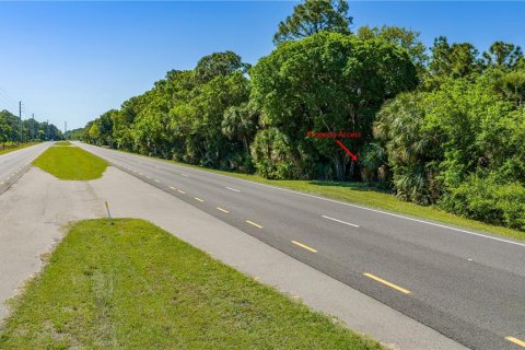 Land in Oak Hill, Florida № 2394160 - photo 10