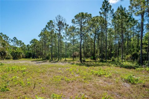 Land in Oak Hill, Florida № 2394160 - photo 15
