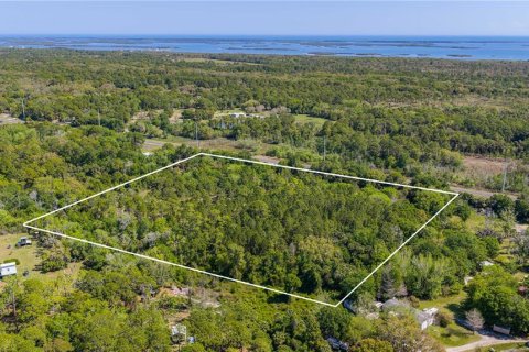 Land in Oak Hill, Florida № 2394160 - photo 9