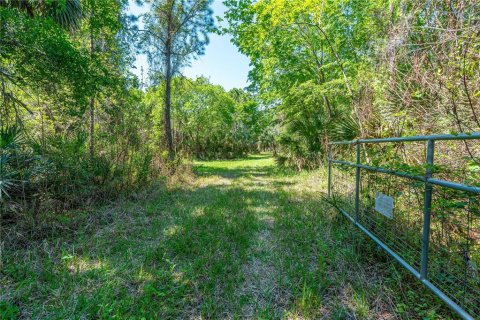 Land in Oak Hill, Florida № 2394160 - photo 12