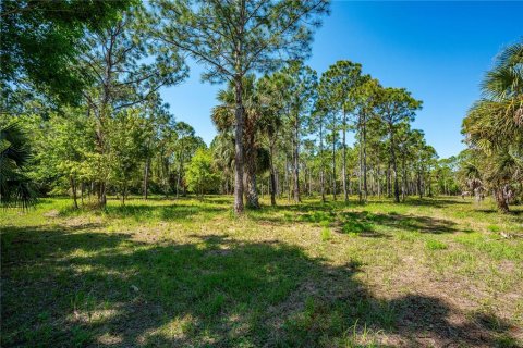 Land in Oak Hill, Florida № 2394160 - photo 14
