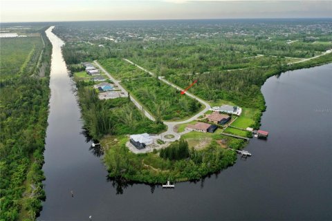 Land in Port Charlotte, Florida № 2165109 - photo 13