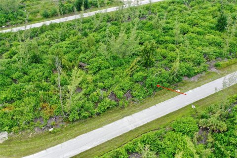 Land in Port Charlotte, Florida № 2165109 - photo 12