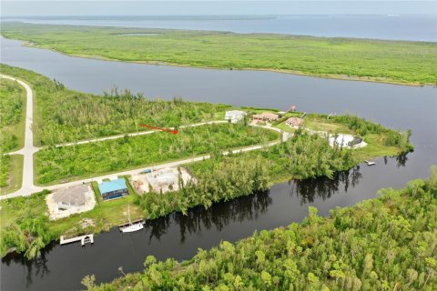 Land in Port Charlotte, Florida № 2165109 - photo 11