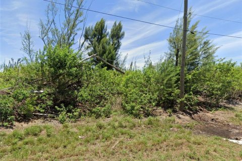Land in Port Charlotte, Florida № 2165109 - photo 30