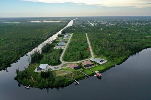 Land in Port Charlotte, Florida № 2165109 - photo 6
