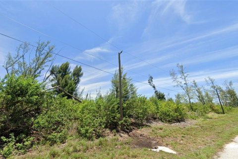 Land in Port Charlotte, Florida № 2165109 - photo 16