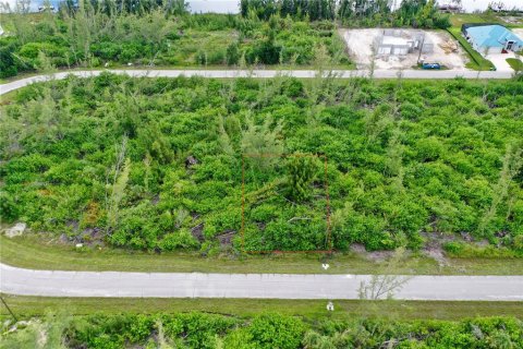 Land in Port Charlotte, Florida № 2165109 - photo 3