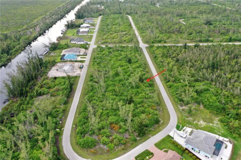 Land in Port Charlotte, Florida № 2165109 - photo 4