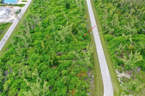 Land in Port Charlotte, Florida № 2165109 - photo 15