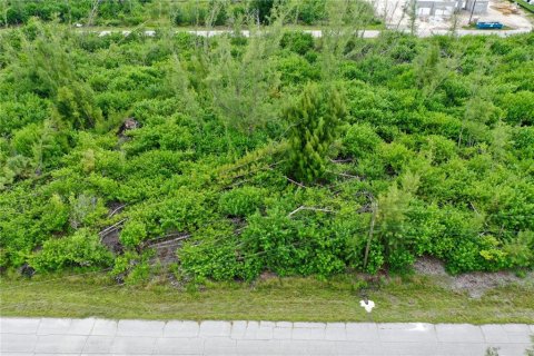 Land in Port Charlotte, Florida № 2165109