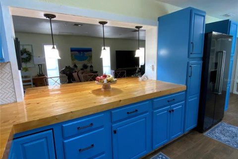 House in Lady Lake, Florida 4 bedrooms, 222.78 sq.m. № 2116316 - photo 11