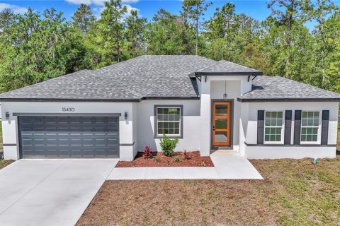 House in Ocala, Florida 4 bedrooms, 164.81 sq.m. № 1722234 - photo 1