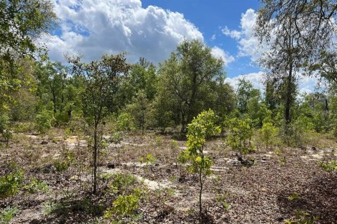 Terrain à vendre à Melrose, Floride № 2205062 - photo 6