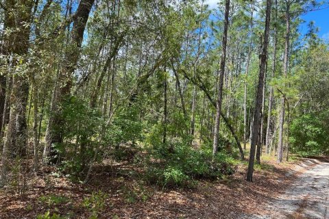 Terrain à vendre à Melrose, Floride № 2205062 - photo 2