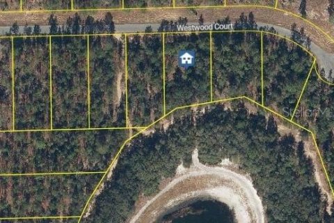 Land in Interlachen, Florida № 2160756