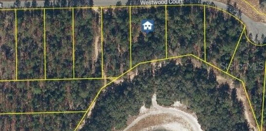 Land in Interlachen, Florida № 2160756
