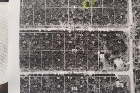 Terreno en venta en Port Charlotte, Florida № 1808692 - foto 4