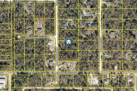 Land in Weeki Wachee, Florida № 2232974 - photo 2