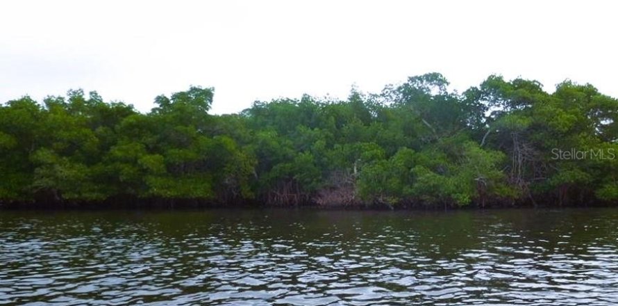 Terrain à Palmetto, Floride № 1196229