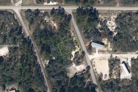 Immobilier commercial à Lake Placid, Floride № 2170753