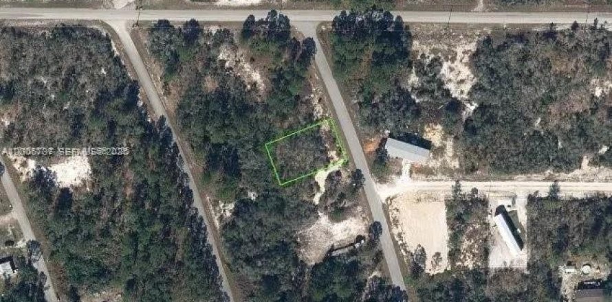 Immobilier commercial à Lake Placid, Floride № 2170753