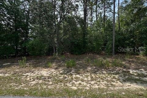 Land in Dunnellon, Florida № 2165807