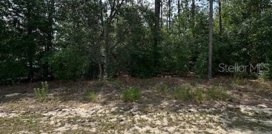 Land in Dunnellon, Florida № 2165807