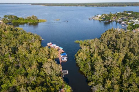 Condo in Palm Harbor, Florida, 2 bedrooms  № 1690359 - photo 29