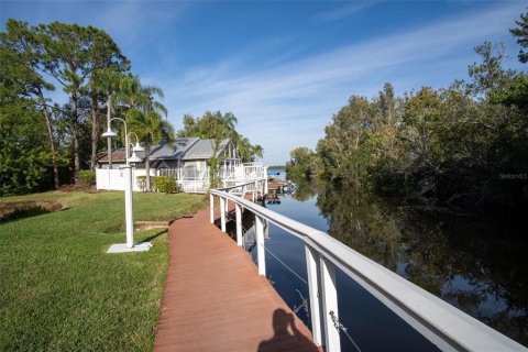 Condo in Palm Harbor, Florida, 2 bedrooms  № 1690359 - photo 25
