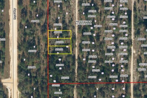 Land in Interlachen, Florida № 2202080