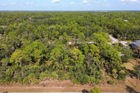 Land in Port Charlotte, Florida № 2202972 - photo 2