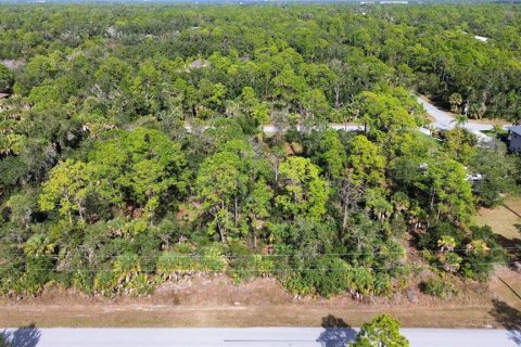 Land in Port Charlotte, Florida № 2202972 - photo 3