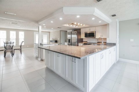 Villa ou maison à vendre à New Port Richey, Floride: 3 chambres, 151.34 m2 № 1544167 - photo 10