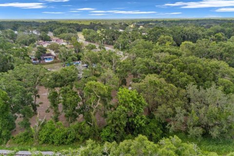 Terreno en venta en Dade City, Florida № 1811064 - foto 10